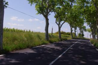 Espondheillan - la Croix de Fer - Route de Béziers - D15 (4)